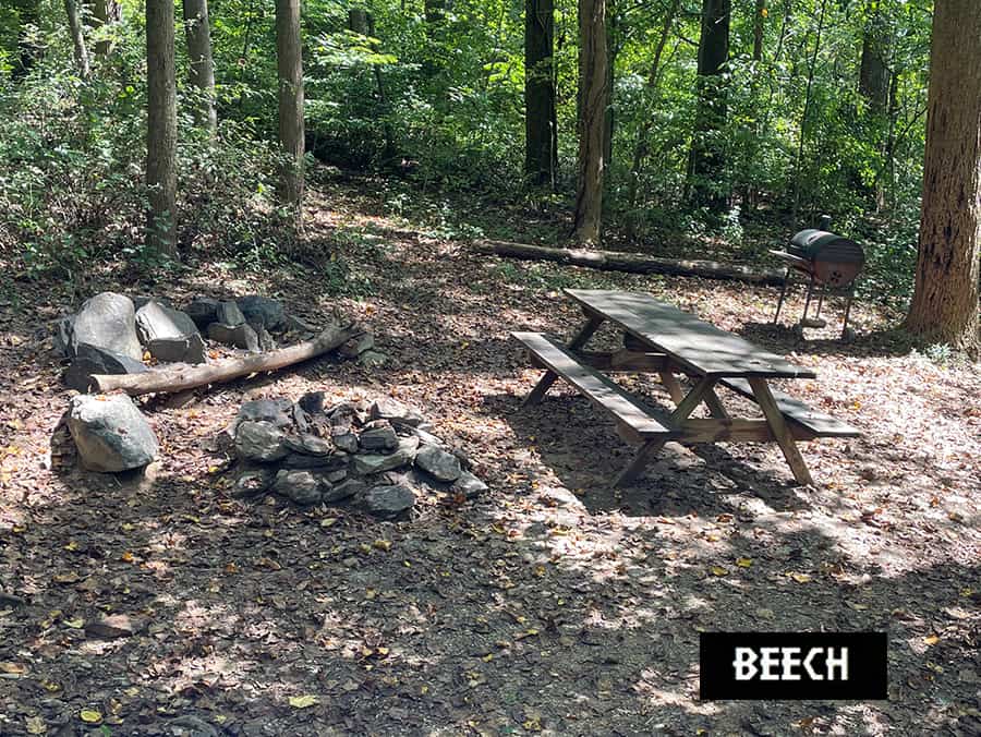 Beech Tree Cottage Campsite