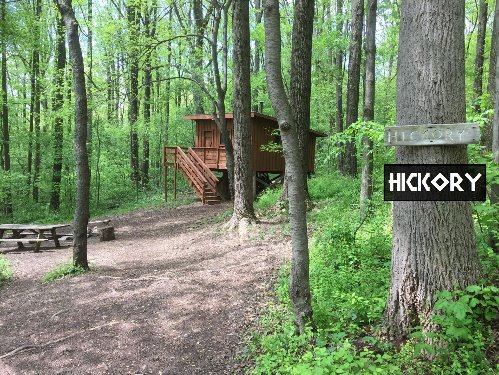 Hickory Tree Cottage Campsite