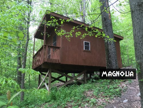Magnolia Tree Cottage Campsite
