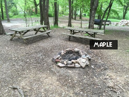 Maple Tree Cottage Campsite
