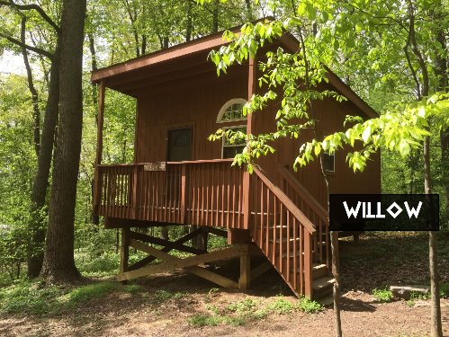 Willow Tree Cottage Campsite