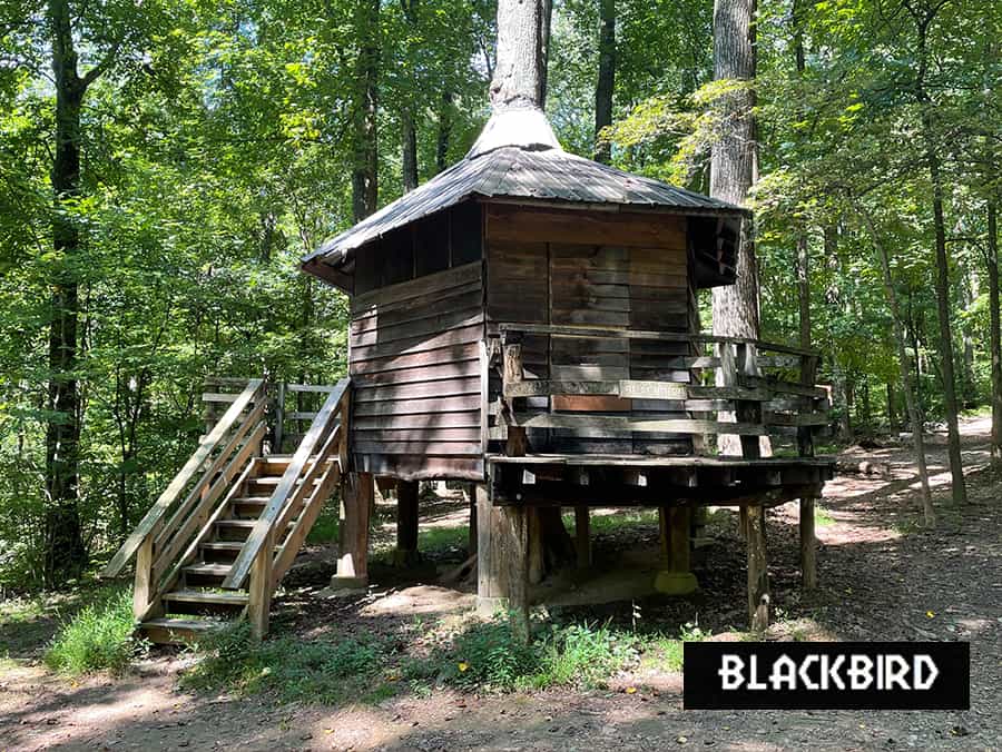 Blackbird Tree House Campsite