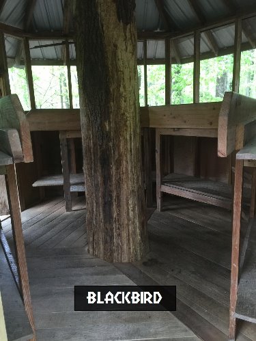 Blackbird Tree House Campsite