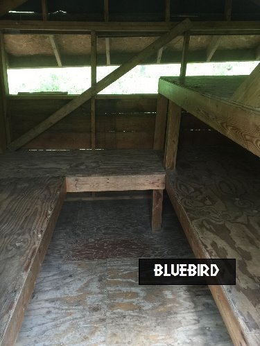Bluebird Tree House Campsite