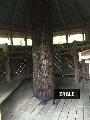Eagle Tree House Campsite