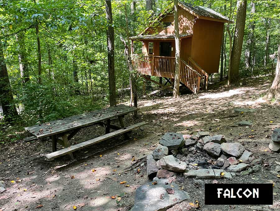 Falcon Tree House Campsite