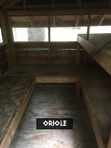 Oriole Tree House Campsite