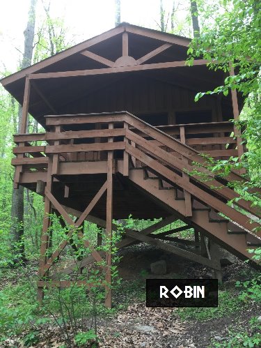 Robin Tree House Campsite