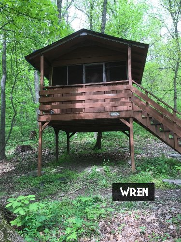 Wren Tree House Campsite